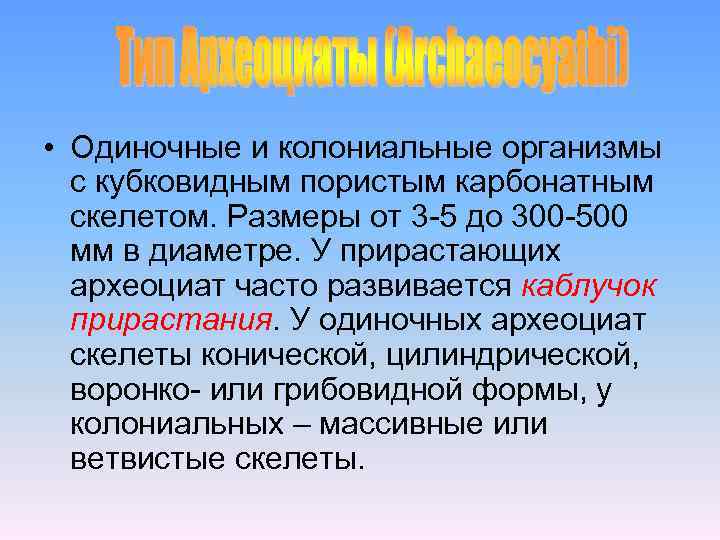  • Одиночные и колониальные организмы с кубковидным пористым карбонатным скелетом. Размеры от 3