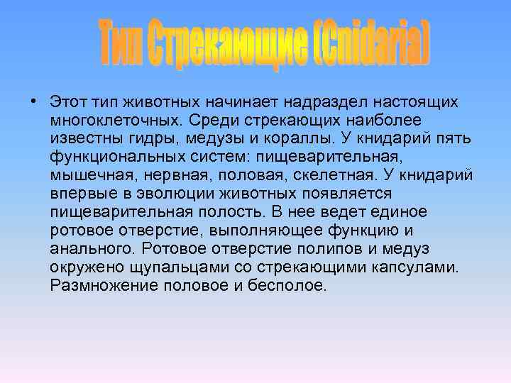  • Этот тип животных начинает надраздел настоящих многоклеточных. Среди стрекающих наиболее известны гидры,