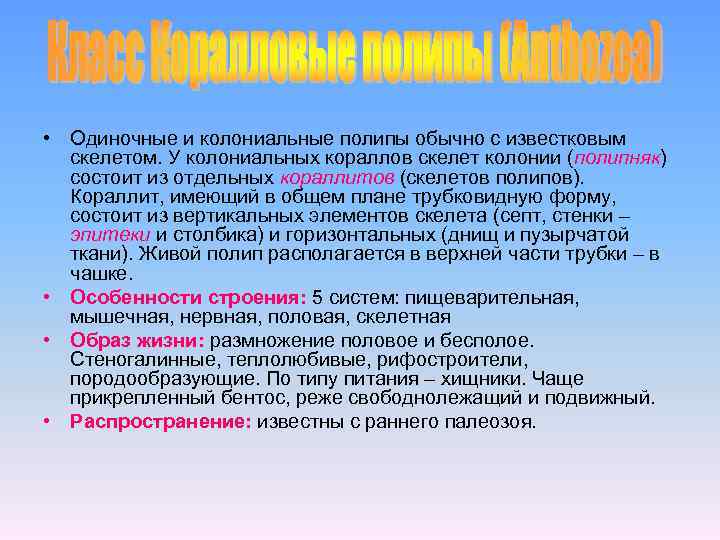  • Одиночные и колониальные полипы обычно с известковым скелетом. У колониальных кораллов скелет