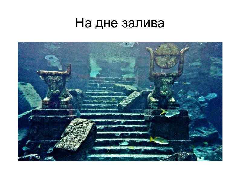 На дне залива 