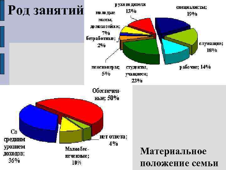 Род занятий Материальное положение семьи 