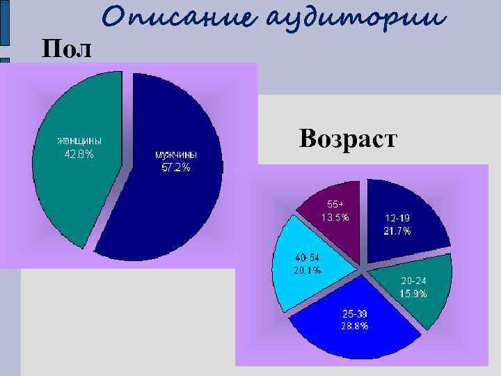 Пол Описание аудитории Возраст 