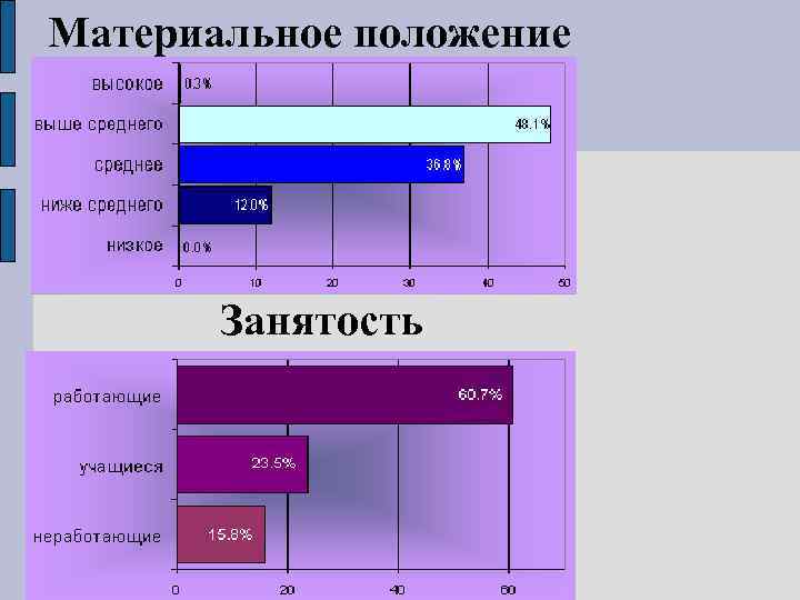 Материальное положение Занятость 