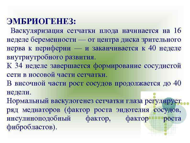 ЭМБРИОГЕНЕЗ: Васкуляризация сетчатки плода начинается на 16 неделе беременности — от центра диска зрительного