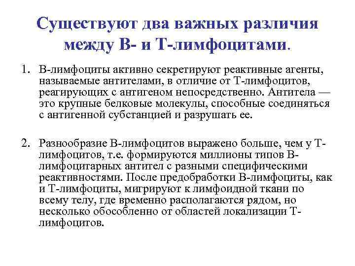 Существуют два важных различия между В- и Т-лимфоцитами. 1. В-лимфоциты активно секретируют реактивные агенты,