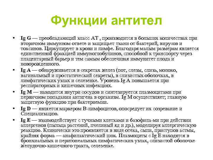 Функции антител • • • Ig G — преобладающий класс AT , производится в