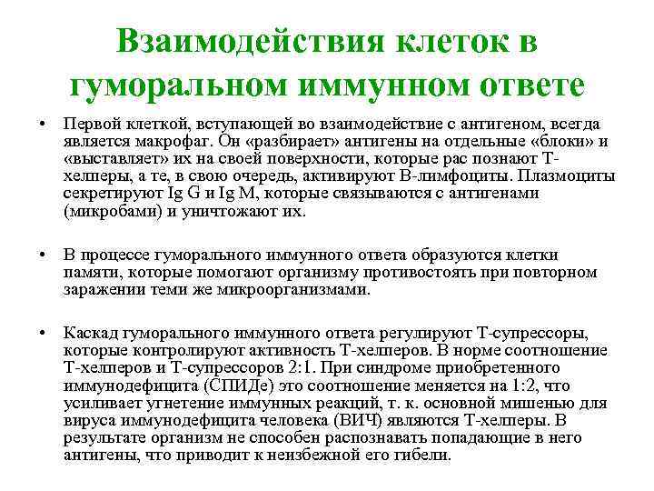 Взаимодействия клеток в гуморальном иммунном ответе • Первой клеткой, вступающей во взаимодействие с антигеном,