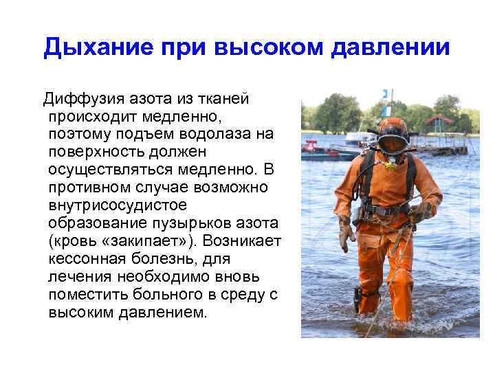 Дыхание при высоком давлении Диффузия азота из тканей происходит медленно, поэтому подъем водолаза на