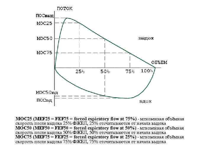  МОС 25 (MEF 25 = FEF 75 = forced expiratory flow at 75%)