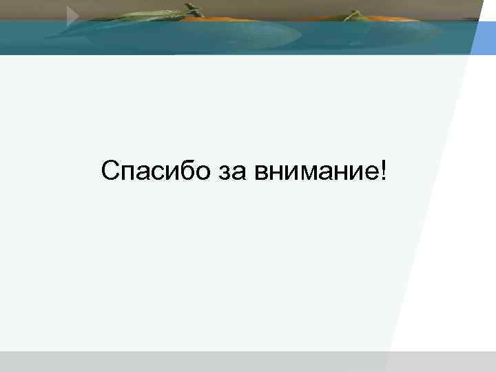 Спасибо за внимание! 