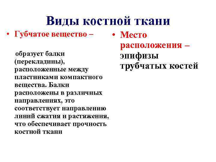 Виды костной ткани • Губчатое вещество – образует балки (перекладины), расположенные между пластинками компактного