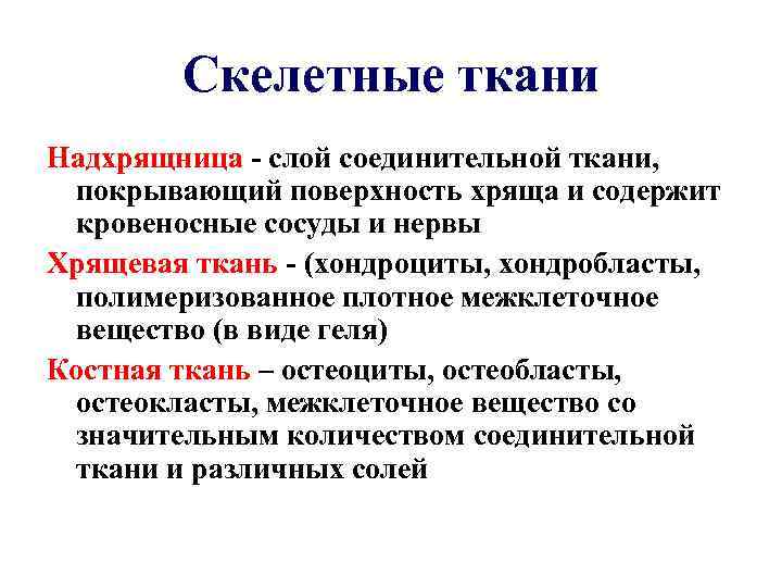Скелетные ткани Надхрящница - слой соединительной ткани, покрывающий поверхность хряща и содержит кровеносные сосуды