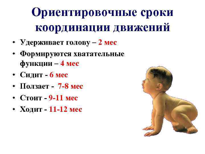 Ориентировочные сроки координации движений • Удерживает голову – 2 мес • Формируются хватательные функции
