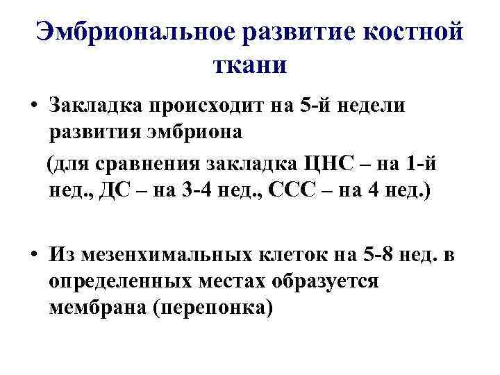 Эмбриональное развитие костной ткани • Закладка происходит на 5 -й недели развития эмбриона (для