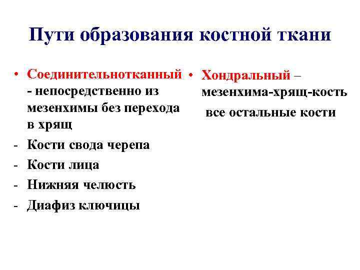 Пути образования костной ткани • Соединительнотканный • Хондральный – - непосредственно из мезенхима-хрящ-кость мезенхимы