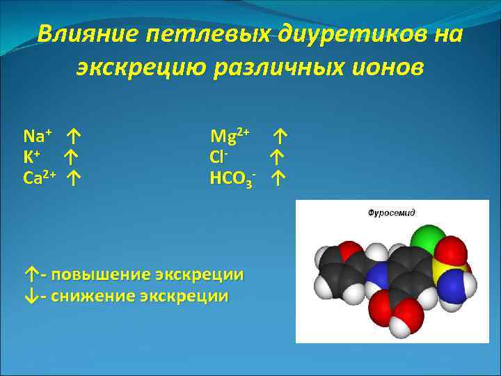 Влияние петлевых диуретиков на экскрецию различных ионов Na+ ↑ Mg 2+ ↑ K+ ↑