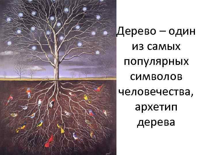 Дерево – один из самых популярных символов человечества, архетип дерева 