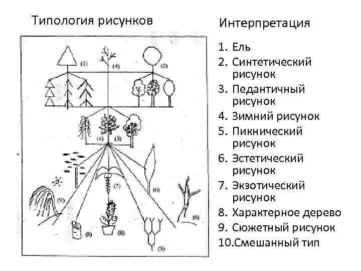 Типология рисунков Интерпретация 1. Ель 2. Синтетический рисунок 3. Педантичный рисунок 4. Зимний рисунок
