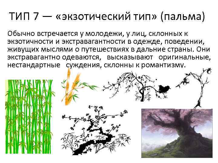 ТИП 7 — «экзотический тип» (пальма) Обычно встречается у молодежи, у лиц, склонных к