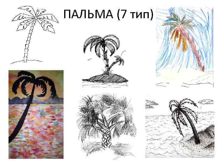 ПАЛЬМА (7 тип) 