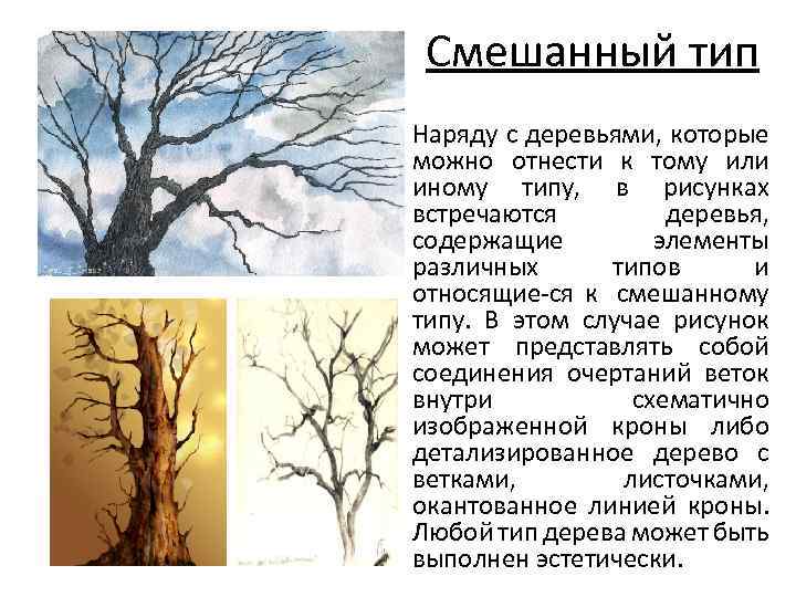 Смешанный тип Наряду с деревьями, которые можно отнести к тому или иному типу, в