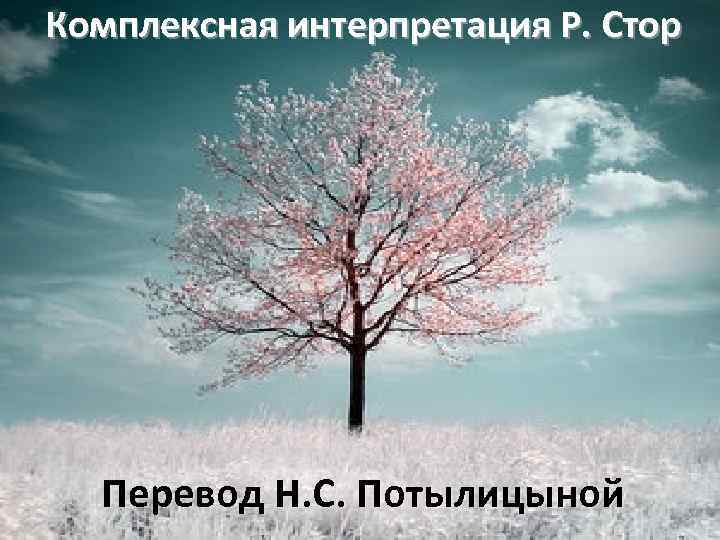 Комплексная интерпретация Р. Стор Перевод Н. С. Потылицыной 