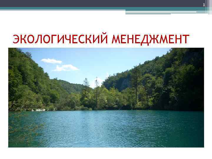 1 ЭКОЛОГИЧЕСКИЙ МЕНЕДЖМЕНТ • Основные понятия 