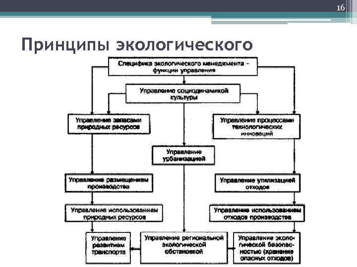 Структура экологического права схема