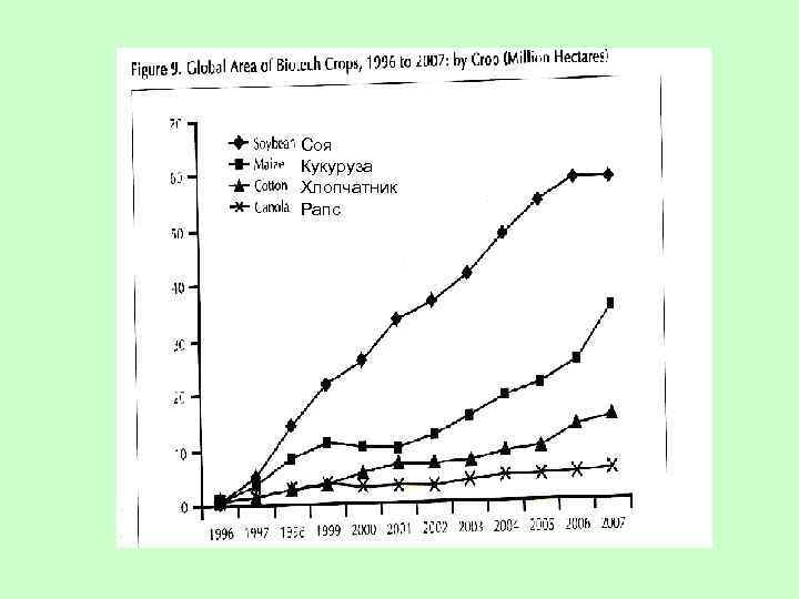 Соя Кукуруза Хлопчатник Рапс 