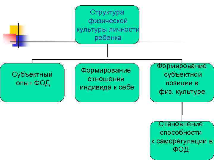 Физическая структура