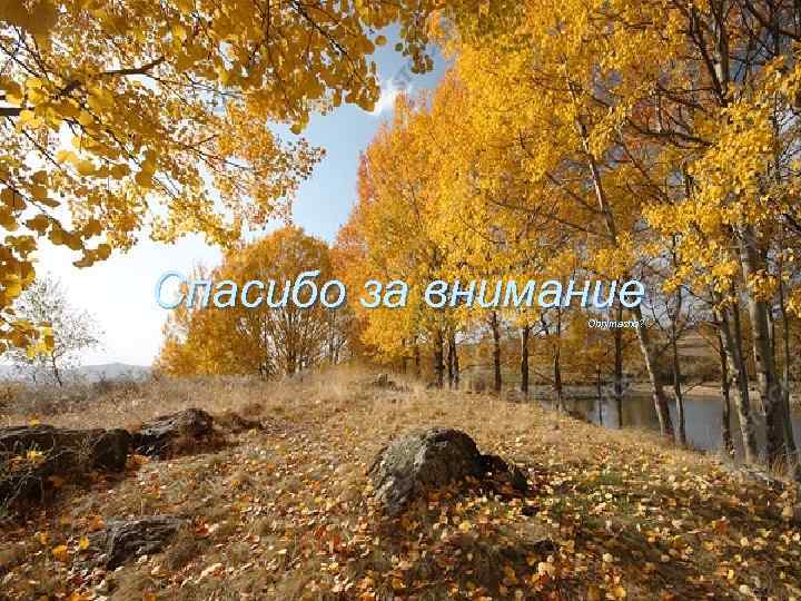 Спасибо за внимание Obnimashq? 