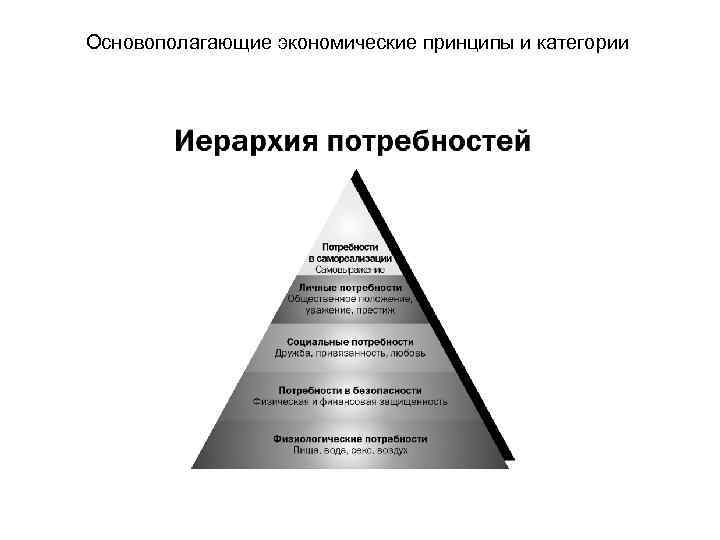 Основополагающие экономические принципы и категории 