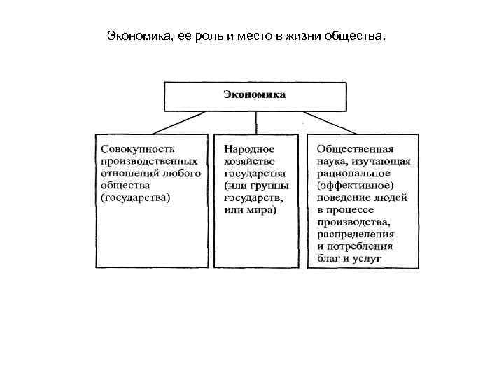 Экономика, ее роль и место в жизни общества. 