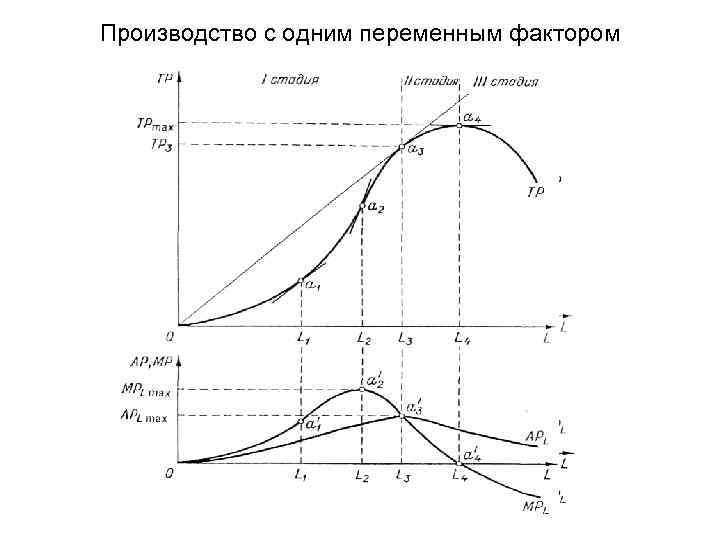 Производство с одним переменным фактором 