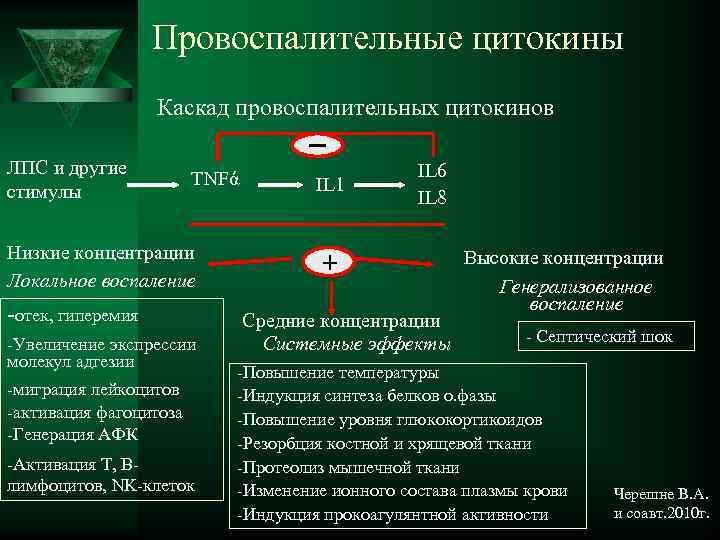  Провоспалительные цитокины Каскад провоспалительных цитокинов ЛПС и другие IL 6 TNFά IL 1