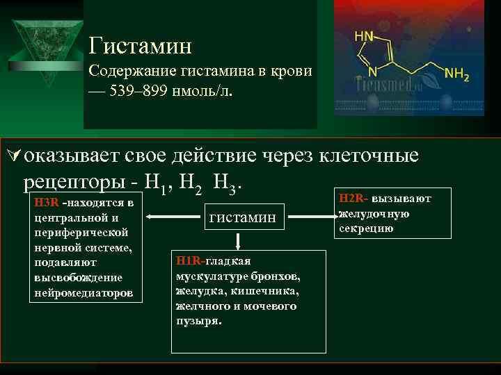  Гистамин Содержание гистамина в крови — 539– 899 нмоль/л. Ú оказывает свое действие