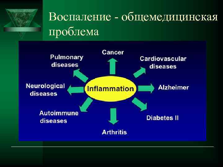 Воспаление - общемедицинская проблема 