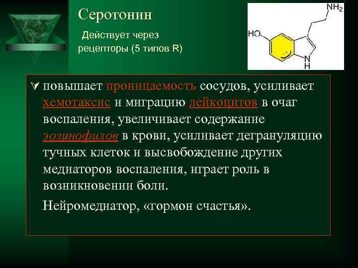  Серотонин Действует через рецепторы (5 типов R) Ú повышает проницаемость сосудов, усиливает хемотаксис