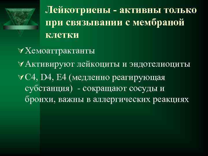  Лейкотриены - активны только при связывании с мембраной клетки Ú Хемоаттрактанты Ú Активируют