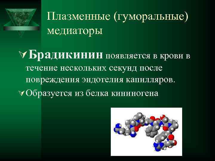  Плазменные (гуморальные) медиаторы ÚБрадикинин появляется в крови в течение нескольких секунд после повреждения