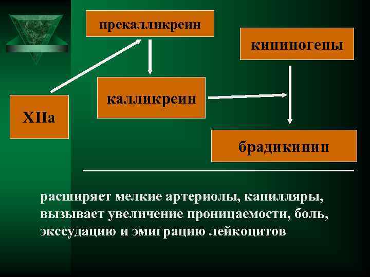  прекалликреин кининогены калликреин ХIIa брадикинин расширяет мелкие артериолы, капилляры, вызывает увеличение проницаемости, боль,