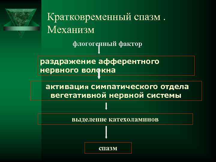  Кратковременный спазм. Механизм флогогенный фактор раздражение афферентного нервного волокна активация симпатического отдела вегетативной