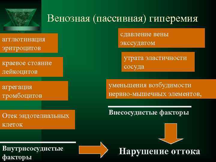  Венозная (пассивная) гиперемия сдавление вены агглютинация экссудатом эритроцитов утрата эластичности краевое стояние сосуда