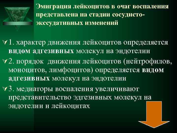  Эмиграция лейкоцитов в очаг воспаления представлена на стадии сосудисто- экссудативных изменений Ú 1.