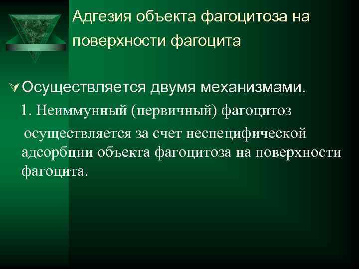  Адгезия объекта фагоцитоза на поверхности фагоцита Ú Осуществляется двумя механизмами. 1. Неиммунный (первичный)