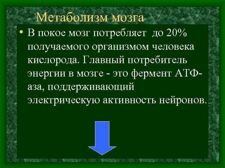 Метаболизм мозга • В покое мозг потребляет до 20% получаемого организмом человека кислорода. Главный
