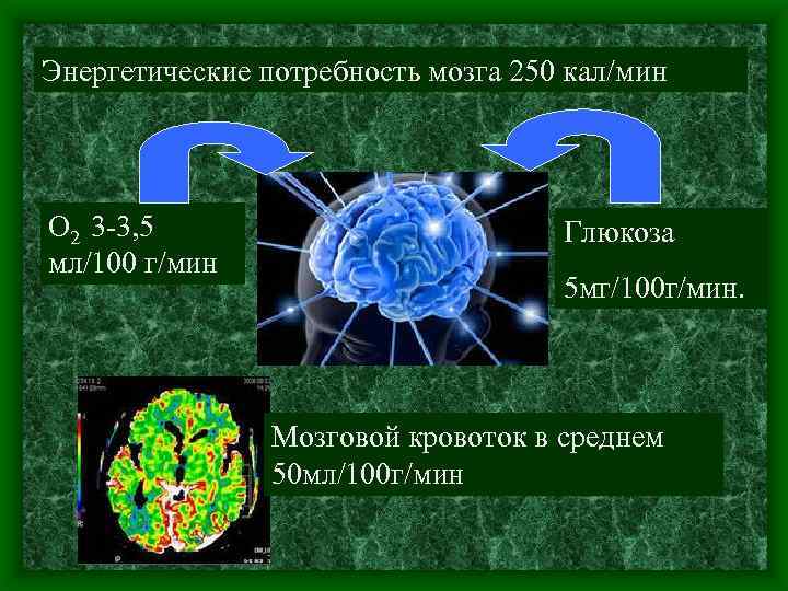 Энергетические потребность мозга 250 кал/мин О 2 3 3, 5 мл/100 г/мин Глюкоза 5