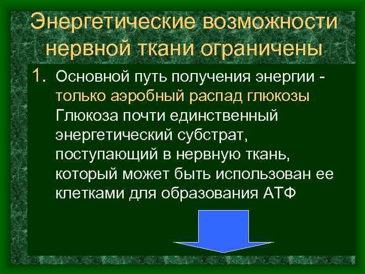 Энергетические возможности нервной ткани ограничены 1. Основной путь получения энергии только аэробный распад глюкозы