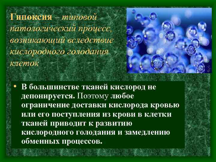 Гипоксия – типовой патологический процесс, возникающий вследствие кислородного голодания клеток • В большинстве тканей