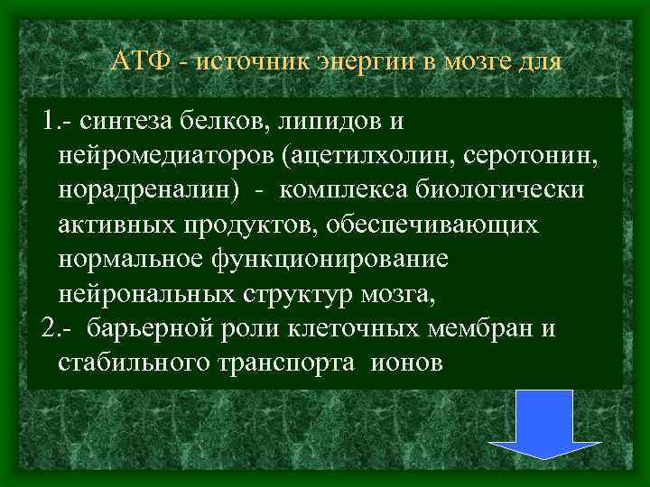 АТФ источник энергии в мозге для 1. синтеза белков, липидов и нейромедиаторов (ацетилхолин, серотонин,